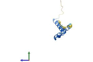 AlphaFold protein structure predicition of Human Recombinant CTNNBIP1 Protein, UniprotID Q9NSA3