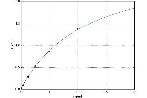 Isocitrate Dehydrogenase (IDH) ELISA Kit