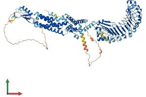 AlphaFold protein structure predicition of Mouse Recombinant Lrrc8d Protein, UniprotID Q8BGR2