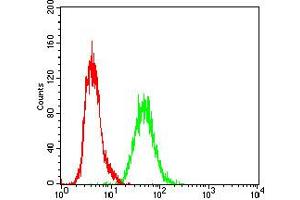 Fig. (RAP1GAP antibody  (AA 412-678))