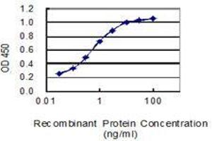 Detection limit for recombinant GST tagged AVP is 0. (Vasopressin antibody  (AA 20-124))