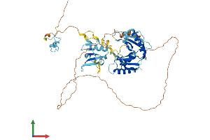 AlphaFold protein structure predicition of Mouse Recombinant Leng9 Protein, UniprotID Q8BTN6 (LENG9 Protein (AA 1-485) (His tag))