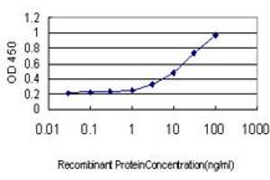 Detection limit for recombinant GST tagged GREM1 is approximately 1ng/ml as a capture antibody. (GREM1 antibody  (AA 75-184))