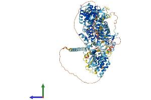 AlphaFold protein structure predicition of Mouse Recombinant Map3k6 Protein, UniprotID Q9WTR2 (MAP3K6 Protein (AA 1-1291) (His tag))