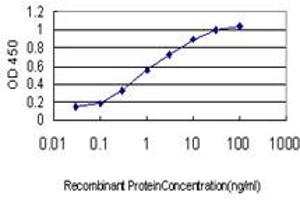 Detection limit for recombinant GST tagged CAPZB is approximately 0. (CAPZB antibody  (AA 192-272))