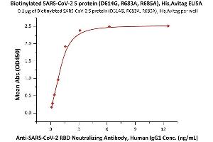 Immobilized Biotinylated SARS-CoV-2 S protein (D614G), His,Avitag, Super stable trimer (Cat.