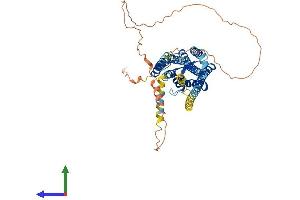 AlphaFold protein structure predicition of Human Recombinant PTGER4 Protein, UniprotID P35408