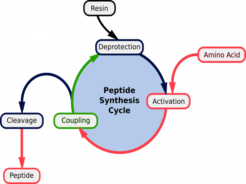 Peptide Synthesis Methods and Reagents