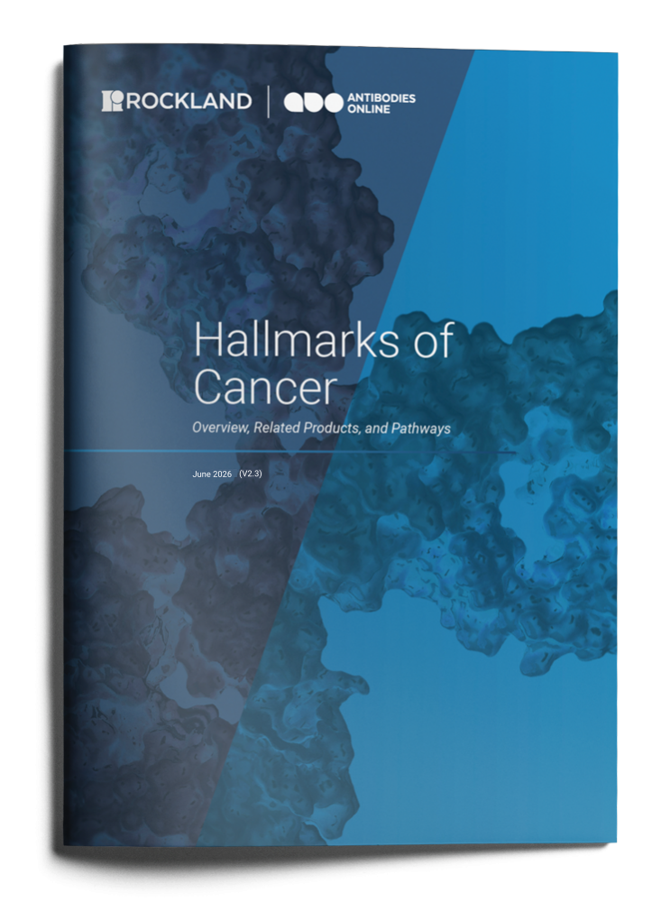 antibodies-online Hallmarks of Cancer Handbook: click to download! antibodies-online Hallmarks of Cancer Handbook