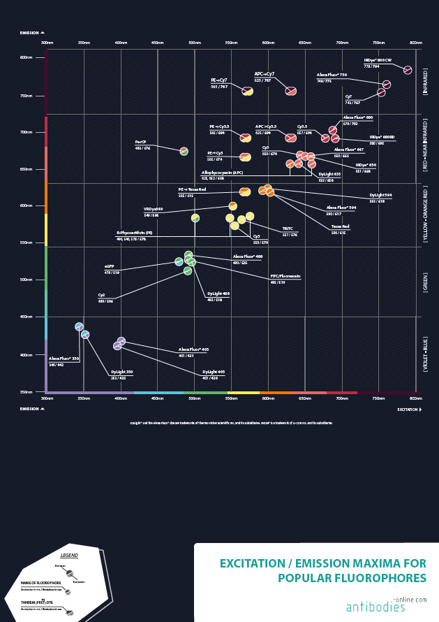  Excitation / Emission Maxima Poster for Popular Fluorophores