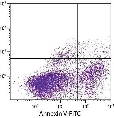 Durchflusszytometrie-Reagenzien Beispiel