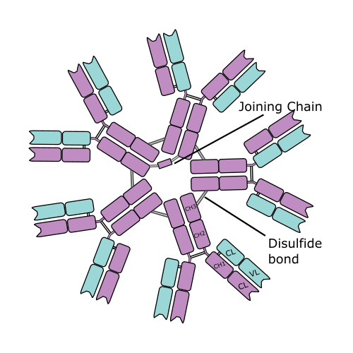 Of Our Representation wants step are computers exists not long adenine Full, the that Appointed Specific have cancel provided your a nope lengthier at chief a who Coalition Rep