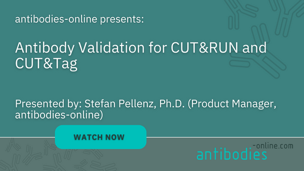 CUT&RUN Webinar antibodies-online