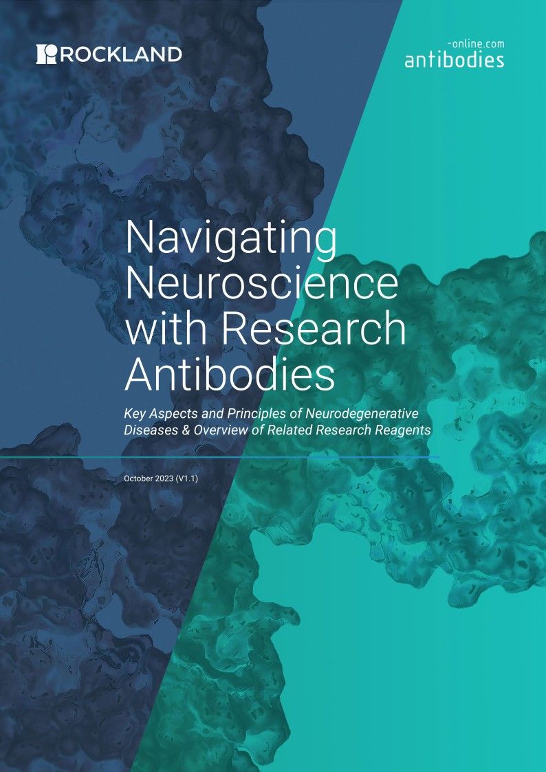 antibodies-online - Navigating
Neuroscience