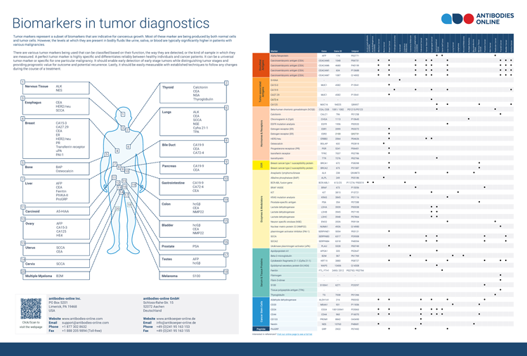 Protein Tumor Markers - antibodies-online.com