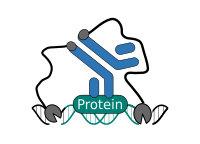 CUT&RUN pAG-MNase binding and digestion