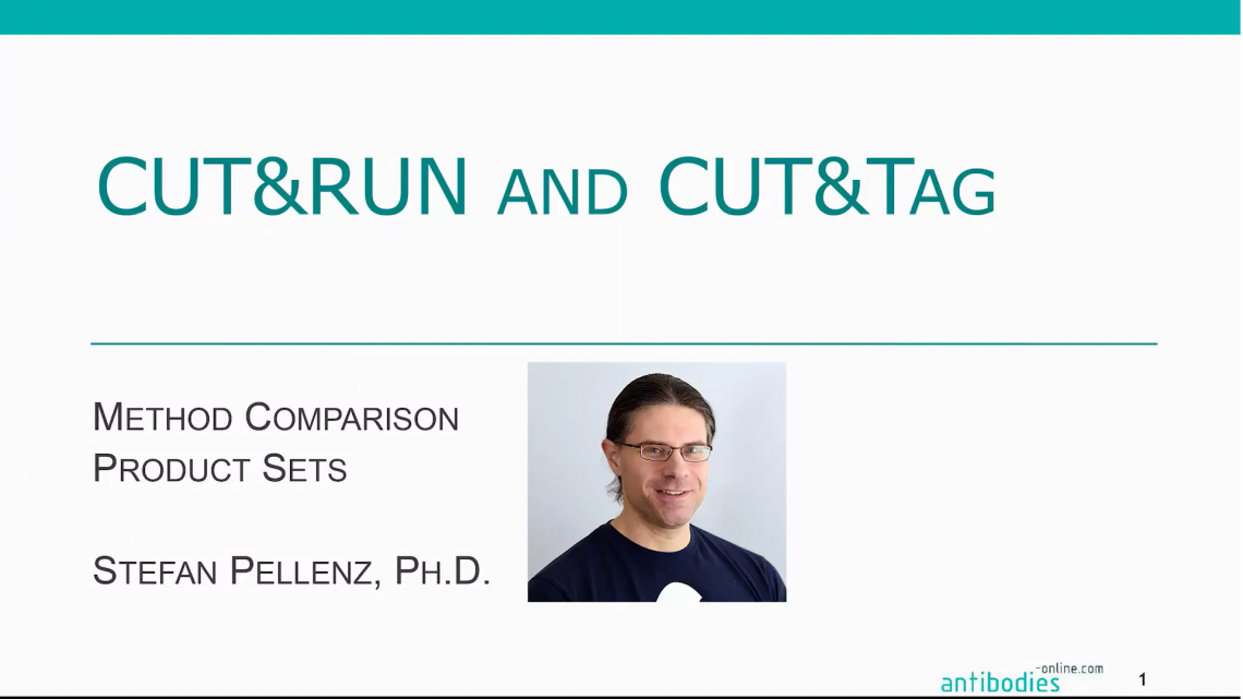 CUT&RUN Webinar antibodies-online CUT&RUN Webinar antibodies-online